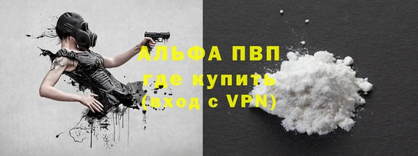 гашик Коряжма