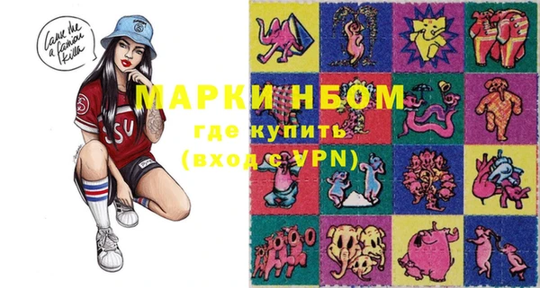 гашик Коряжма