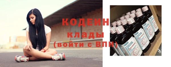 гашик Коряжма