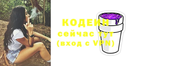 гашик Коряжма