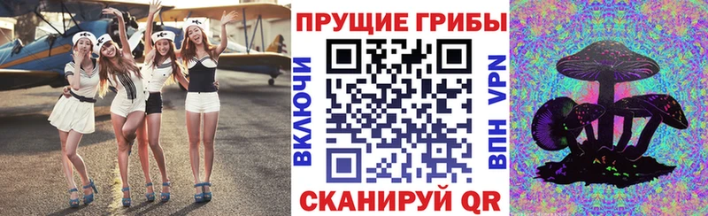 где купить наркоту  Янаул  Псилоцибиновые грибы Psilocybe 